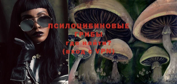 ГАЛЛЮЦИНОГЕННЫЕ ГРИБЫ Краснослободск