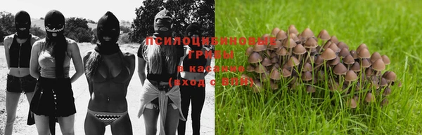 ГАЛЛЮЦИНОГЕННЫЕ ГРИБЫ Краснослободск